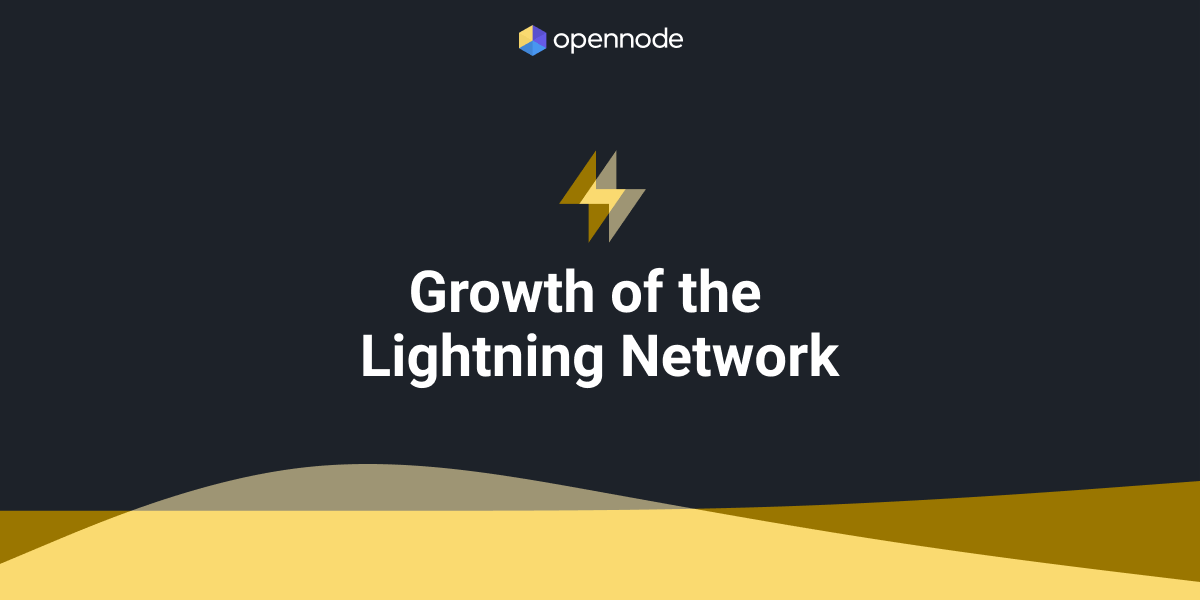 phone with OpenNode automatic conversion application