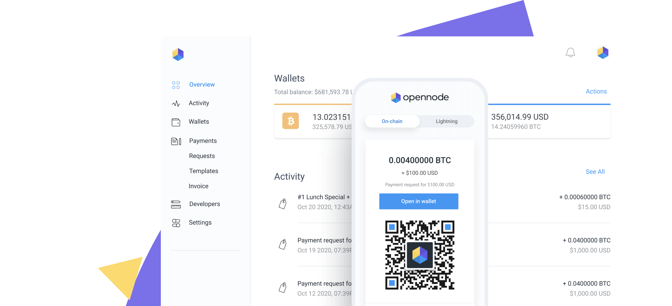stylized OpenNode dashboard